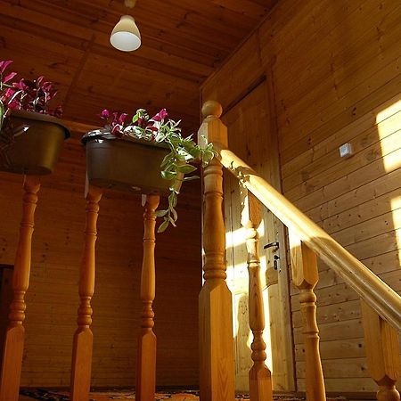 Badishi Guesthouse Mestia Extérieur photo