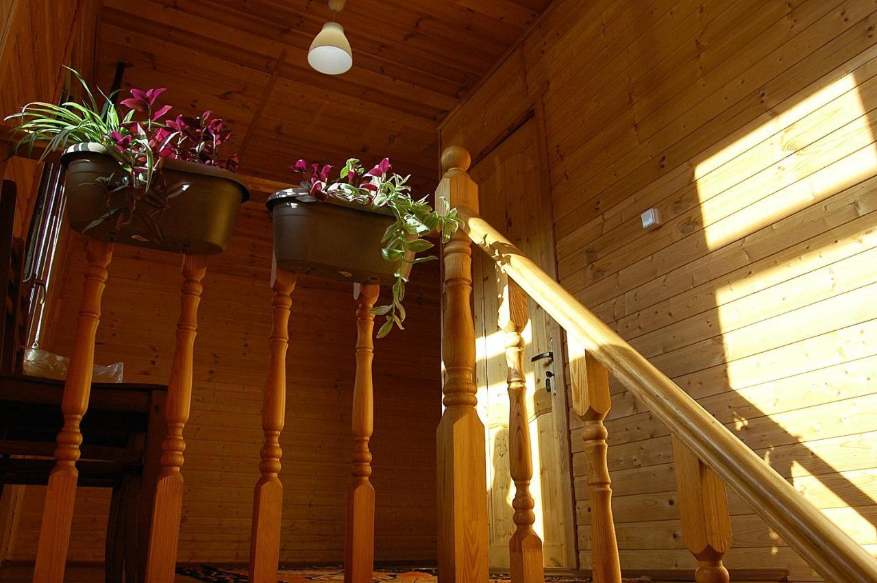 Badishi Guesthouse Mestia Extérieur photo