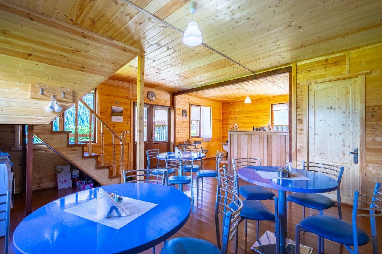 Badishi Guesthouse Mestia Extérieur photo