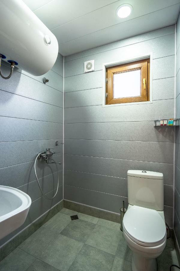 Badishi Guesthouse Mestia Extérieur photo