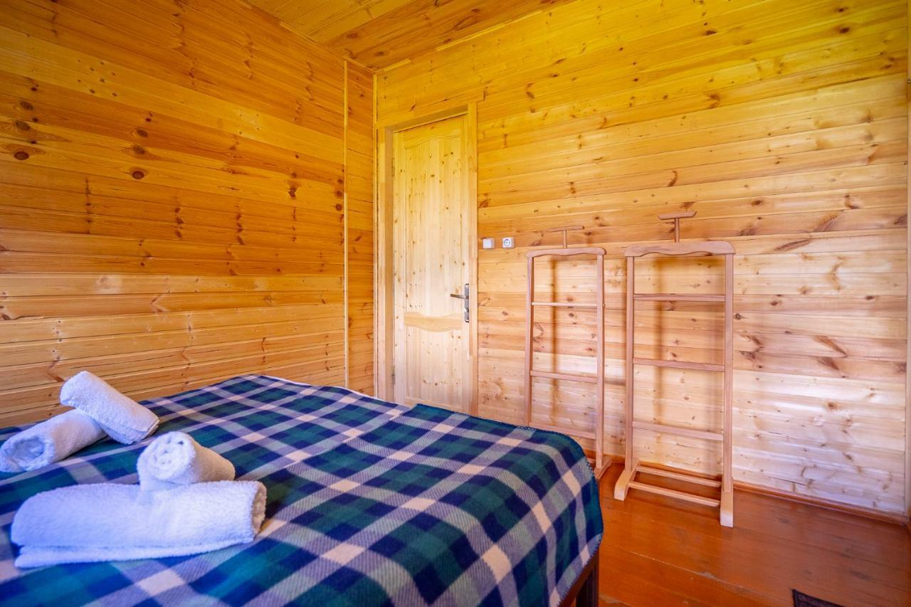 Badishi Guesthouse Mestia Extérieur photo